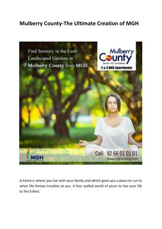 Mulberry County-The Ultimate Creation of MGH