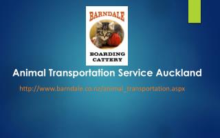 Animal Transportation Service Auckland