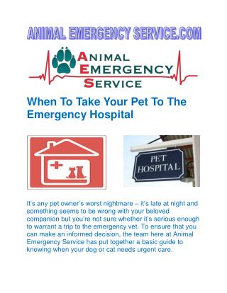 When To Take Your Pet To The Emergency Hospital.