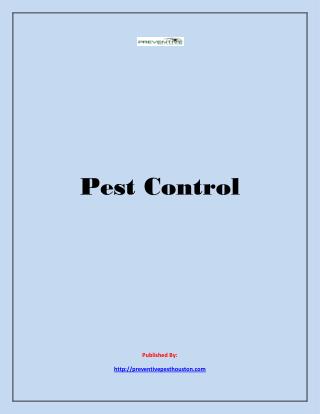 Preventive Pest Control-Pest Control