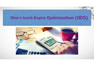 What is Search Engine Optimization (SEO)