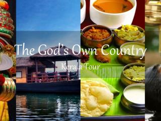 The god's own country - kerala tour