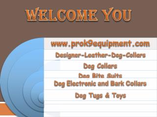 leather dog collars custom
