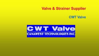 Valves and Strainers