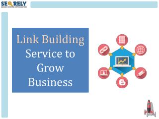 Link Building Service to Grow Your Website - Seorely