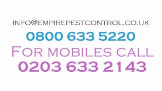 Empire Pest Control Services