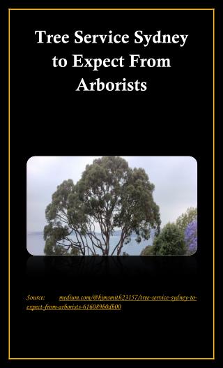 Tree Service Sydney to Expect From Arborists