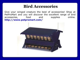 Bird Accessories