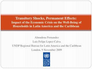 Transitory Shocks, Permanent Effects: Impact of the Economic Crisis on the Well-Being of Households in Latin America an