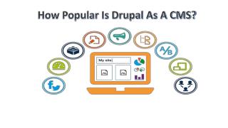 How Popular Is Drupal As A CMS?