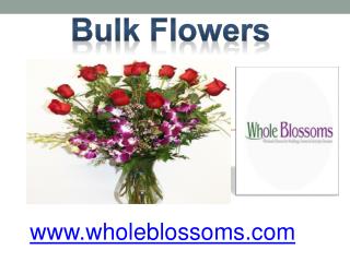 Bulk Flowers - www.wholeblossoms.com