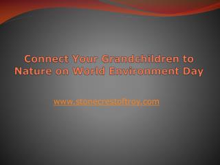 Connect Your Grandchildren to Nature on World Environment Day