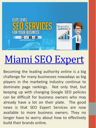 Top SEO Experts Miami