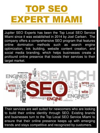 Miami SEO