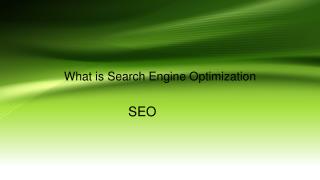 What is Search Engine Optimization (SEO)