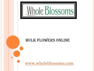 Bulk Flowers Online - www.wholeblossoms.com