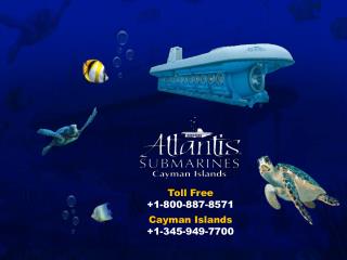 Interested in Cayman Islands submarine excursion tour? Know more