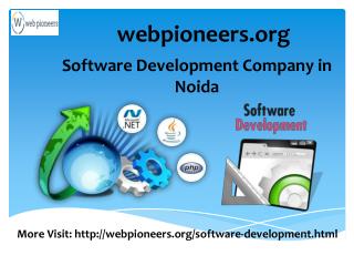 Custom Software Development Companies in Noida