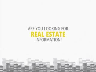 Real Estate Information