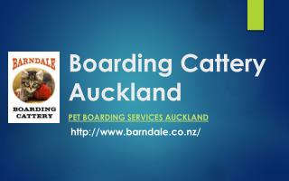 Barndale Boarding Cattery Auckland