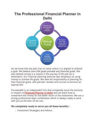 The Professional Financial Planner in Delhi