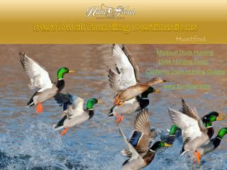 Best Duck Hunting Destinations