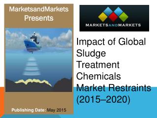Impact of Global Sludge Treatment Chemicals Market Restraints (2015–2020)
