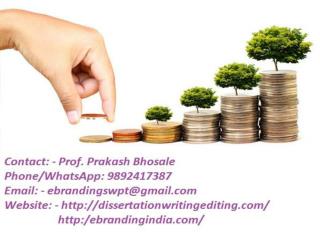 eBranding India Provides the Best Project Finance Funding Consultation Services In Pune