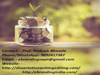 The Professional Project Finance Funding Consultation Services in Pune