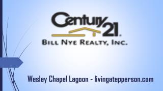 Wesley Chapel Lagoon - livingatepperson.com