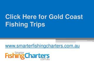 Click Here for Gold Coast Fishing Trips - www.smarterfishingcharters.com.au