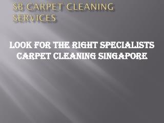 Look for the right specialists carpet cleaning Singapore