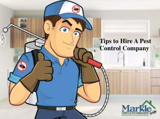 Tips to Choose A Pest Control Company