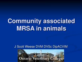 Community associated MRSA in animals