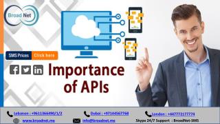 The Role and Importance of APIs for Mobile Network Operators