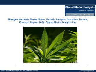 Nitrogen Nutrients Market Research Reports & Industry Analysis, 2016 – 2024