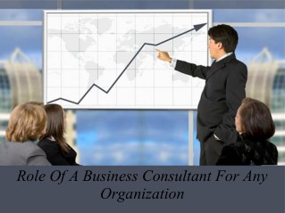 Role Of A Business Consultant For Any Organization