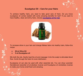 Eucalyptus Oil – Care for your Hairs