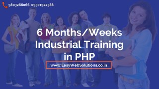 6 Months / Weeks Industrial Training - PHP Training Institute