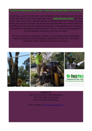 santa rosa tree service