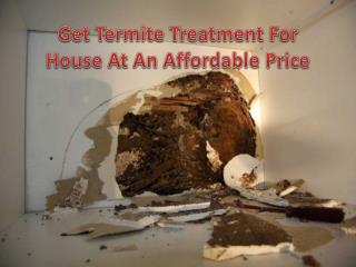 Get Termite Treatment For House At An Affordable Price