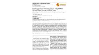 Morphological and Molecular Analysis Using RAPD in Biofield Treated Sponge and Bitter Gourd