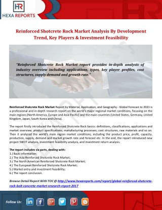 Reinforced Shotcrete Rock Market Analysis By Development Trend, Key Players & Investment Feasibility