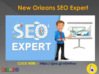 New Orleans SEO Expert