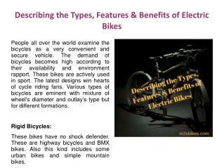 Electric fat Bike