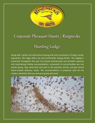 Corporate Pheasant Hunts | Ringnecks Hunting Lodge