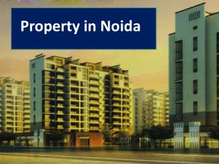 property in noida