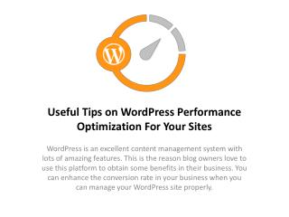Useful Tips on WordPress Performance Optimization For Your Sites