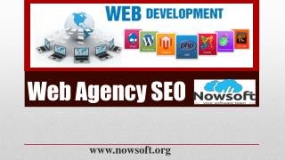 SEO Web design Company