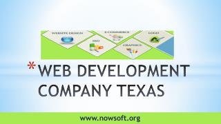 Web development company Texas